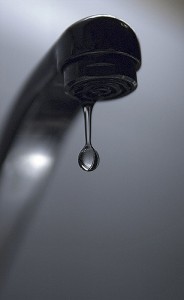 400609151_63efa36f3d_z