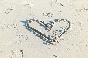 5157225381_ac65bca1ea