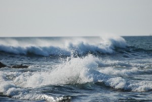 5234073072_7583e051f1_b[1]