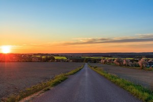 26371875003_22d7d3900e_c[1]