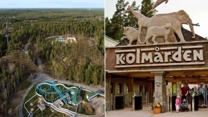 kolmarden-wildfire-combo-jpg-jpg